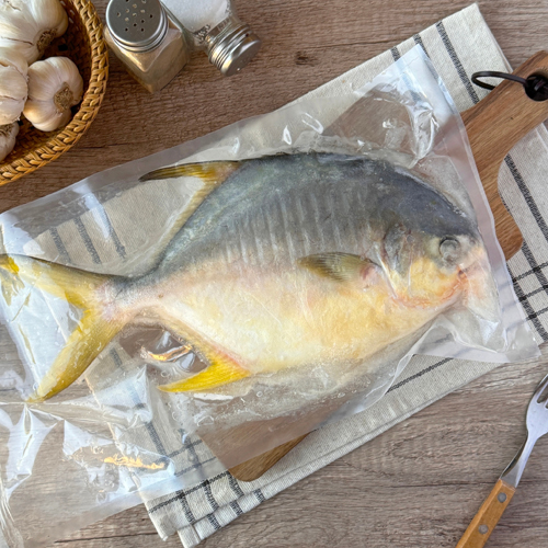 黃金鯧魚