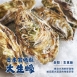 日本宮城縣大生蠔(生食級)L