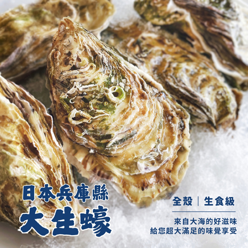 日本兵庫縣生蠔(生食級)