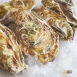 日本兵庫縣生蠔(生食級)