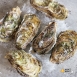 日本兵庫縣生蠔(生食級)