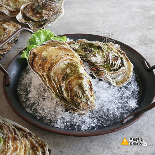 日本兵庫縣生蠔(生食級)