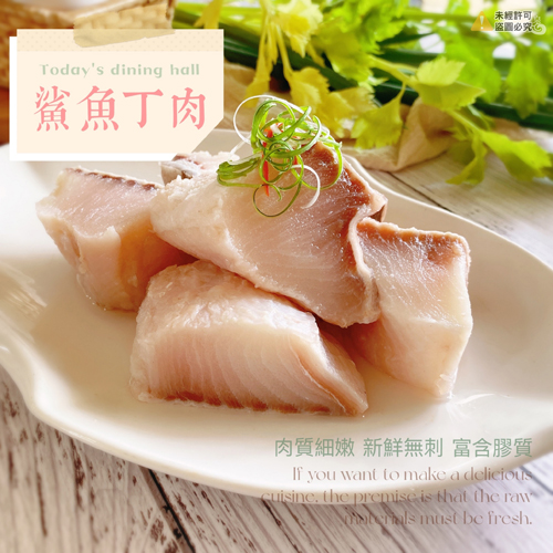 台灣鯊魚丁