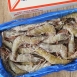 南美活凍生白蝦 30/40