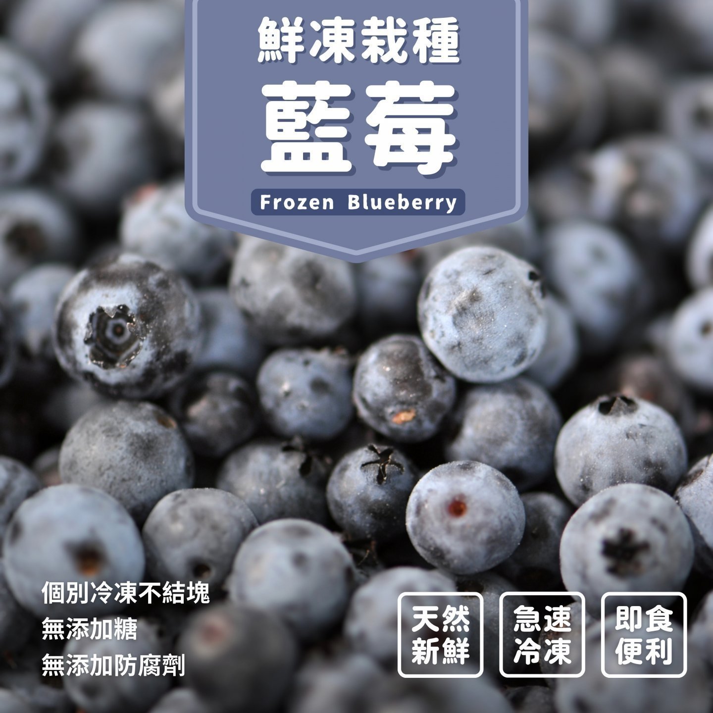 鮮凍栽種藍莓