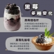 鮮凍黑莓
