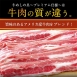 日本松屋牛丼調理包