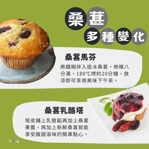 鮮凍桑葚