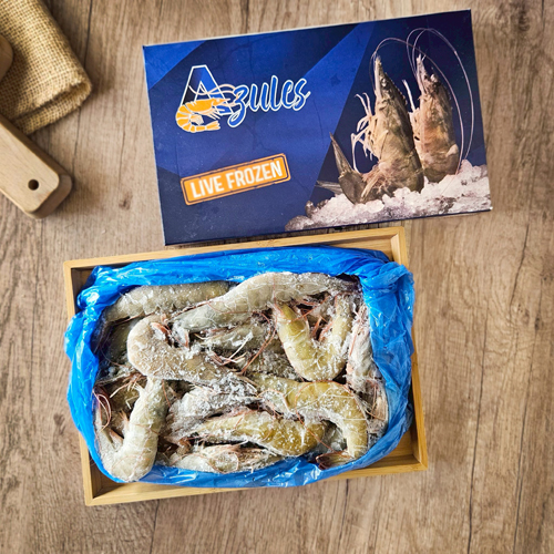 南美活凍生白蝦 30/40