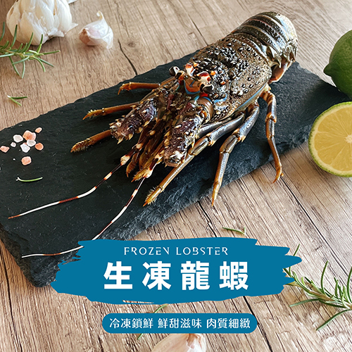 生凍龍蝦
