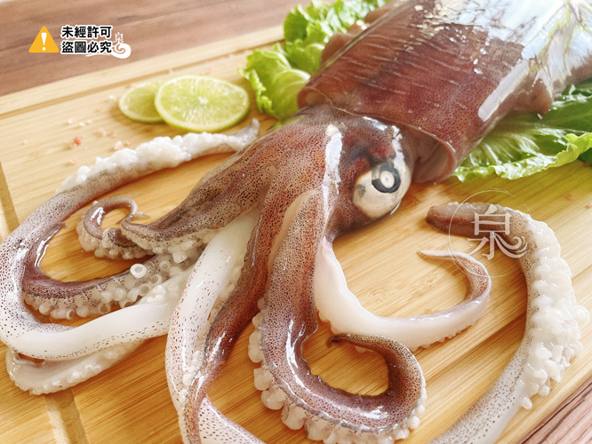 巨無霸活凍軟絲