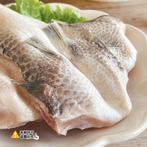 台灣鯛魚下巴