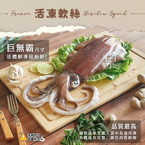 巨無霸活凍軟絲