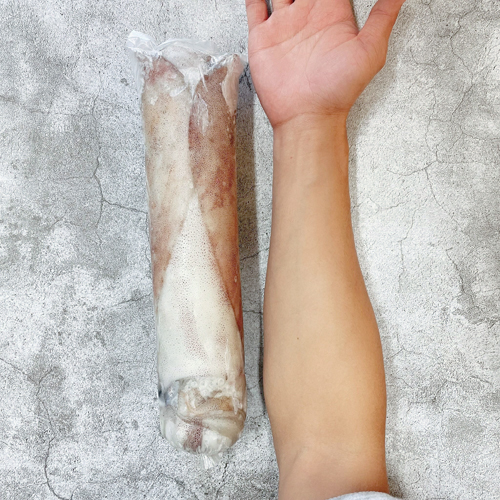 巨無霸活凍軟絲