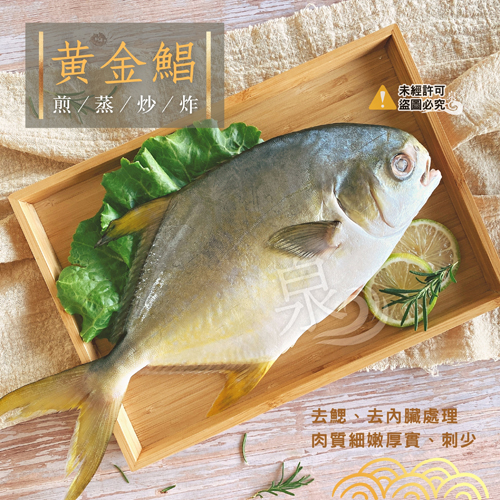 黃金鯧魚